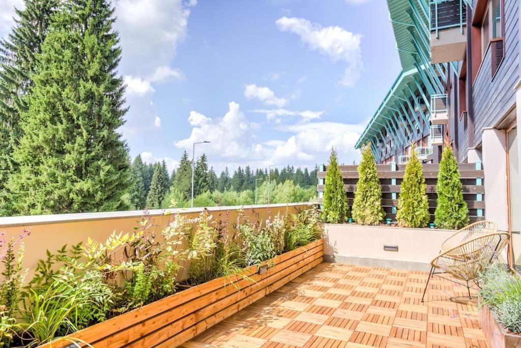 Splendor 3 Bedroom Flat In Silver Mountain Poiana Brasov Eksteriør billede