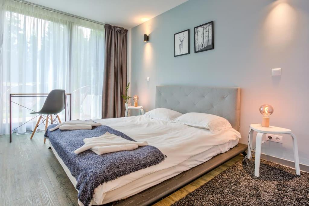 Splendor 3 Bedroom Flat In Silver Mountain Poiana Brasov Eksteriør billede