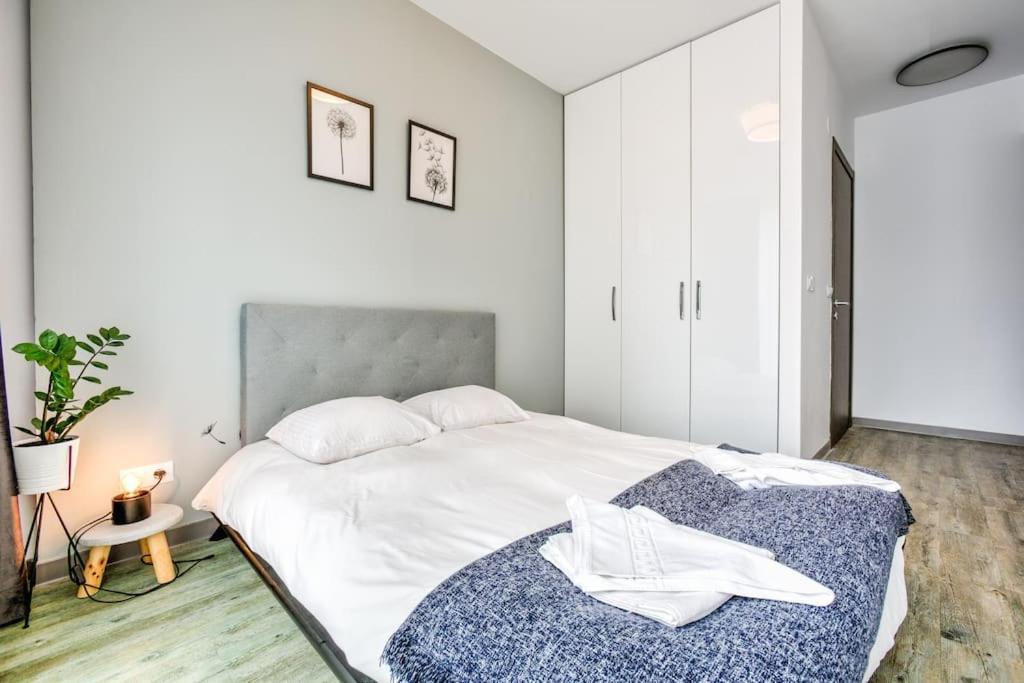 Splendor 3 Bedroom Flat In Silver Mountain Poiana Brasov Eksteriør billede